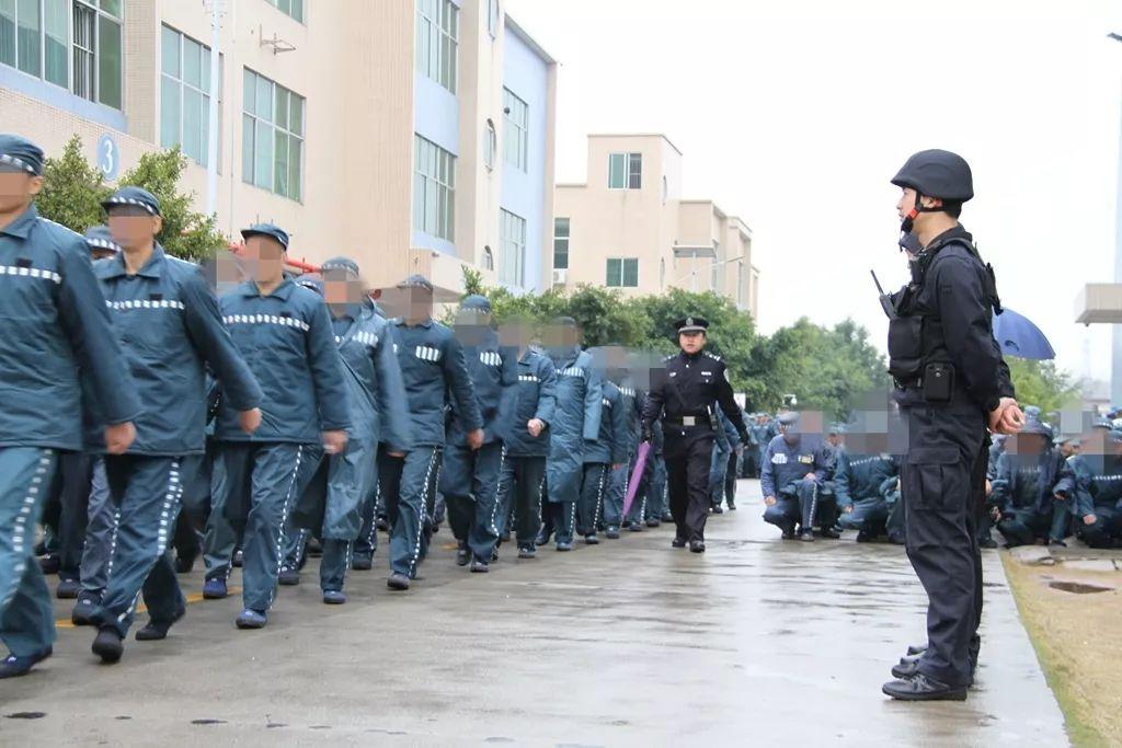 韶关_澳门一码一肖一特一中直播,谨防传输精选解析、解释与落实