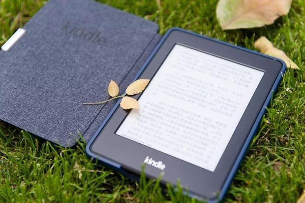 延边_澳门王中王100%的资料2025年,揭破电子书（epub/mobi）请全面2释义、解释与落实